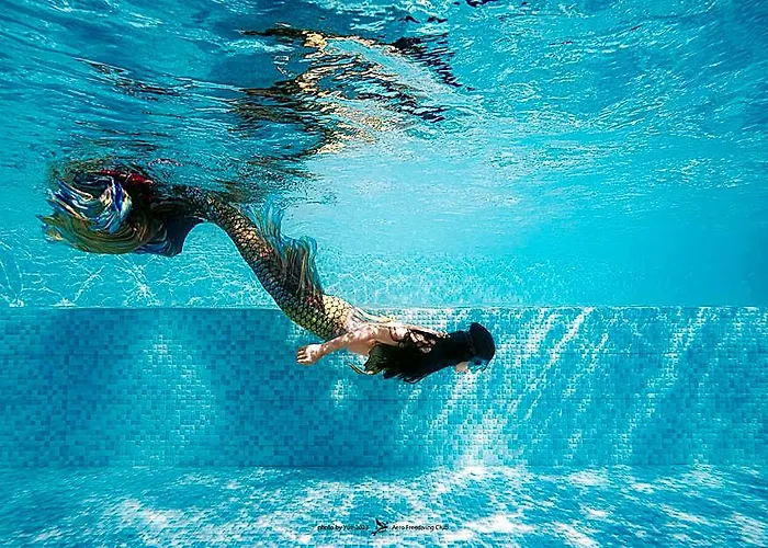 Hotel Dive & Dwell Tulamben Data